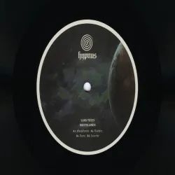 Luigi Tozzi - Wastelands