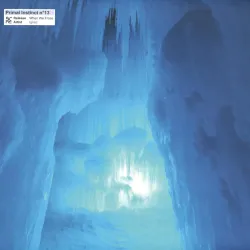 Ignez - When We Froze LP