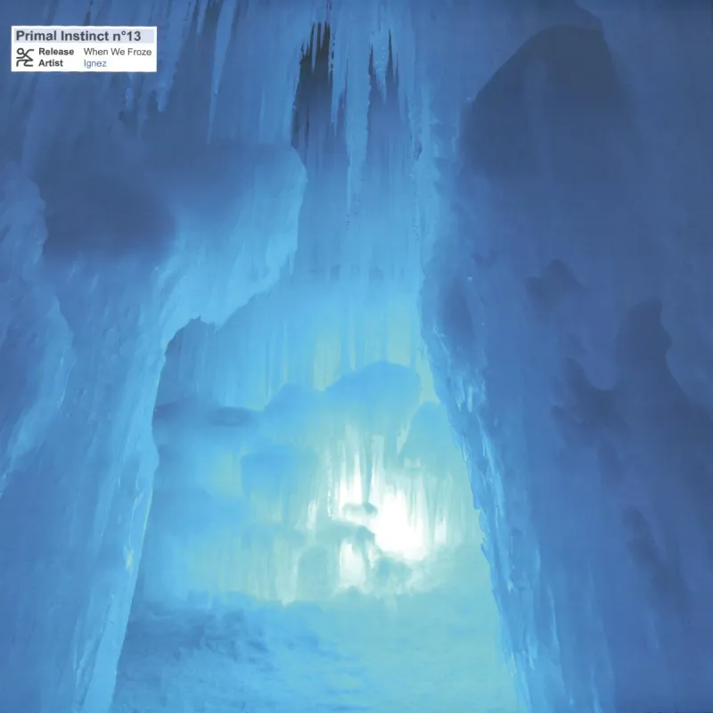 Ignez - When We Froze LP
