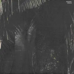 Acid Pauli - Urwald