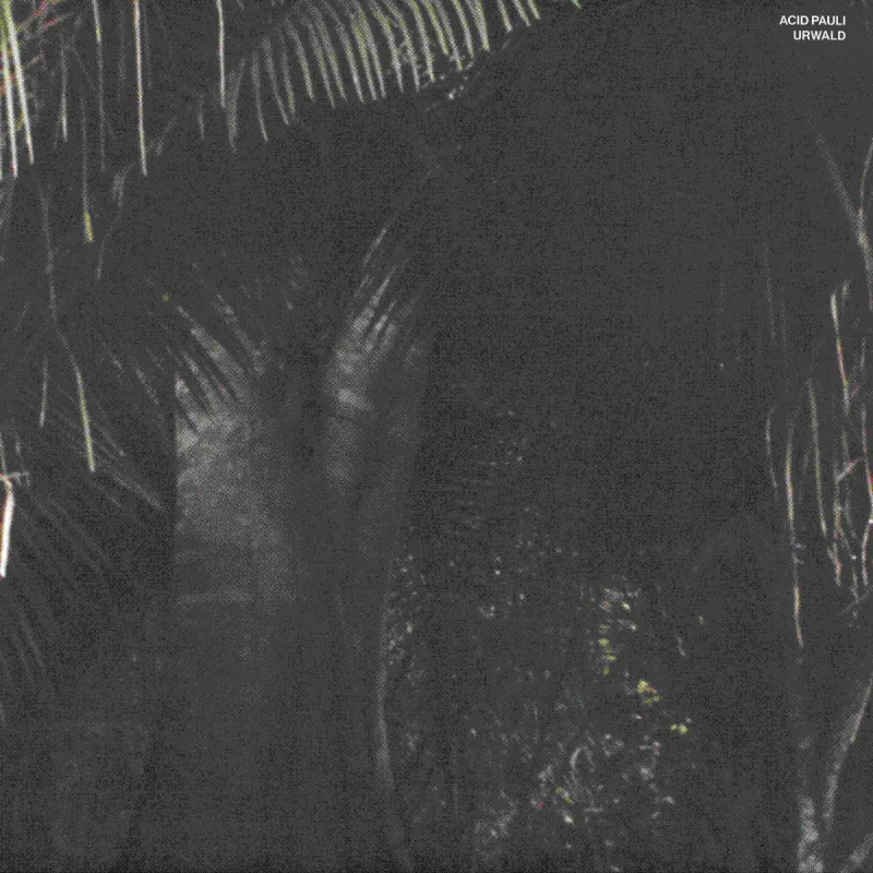 Acid Pauli - Urwald