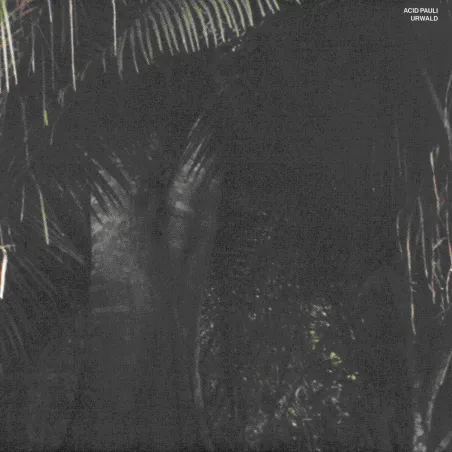 Acid Pauli - Urwald