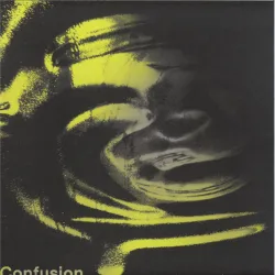 Confusion - In Cycles LP 2x12"