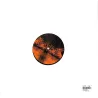 Nemo Vachez - CYCLOSTOMES EP