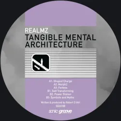Realmz - Tangible Mental Architecture [Stickered Sleeve]
