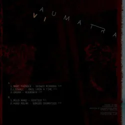 Various Artists - Aumatra Vol. IV [Printed Sleeve]