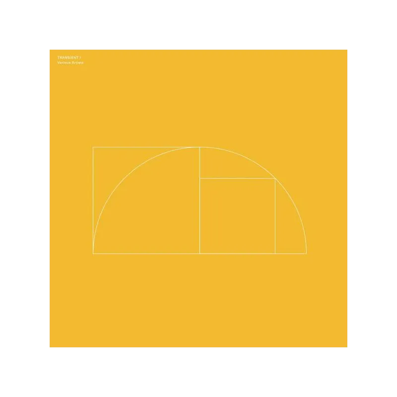 inconnu - Transient I [Printed Sleeve]