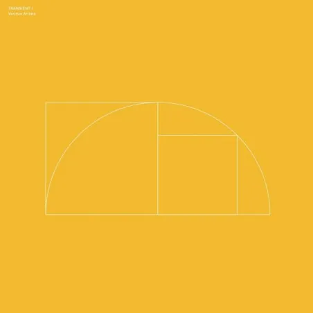 inconnu - Transient I [Printed Sleeve]