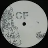 Circus Operandi - CFV001