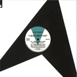 Chez Damier - I Never Knew Love