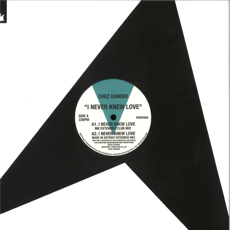 Chez Damier - I Never Knew Love