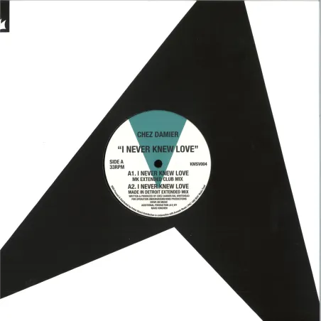 Chez Damier - I Never Knew Love