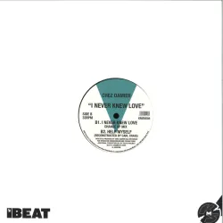 Chez Damier - I Never Knew Love