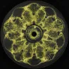 Strack - Voices Within EP
