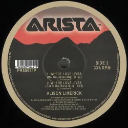 Alison Limerick - Where Love Lives