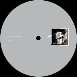 Vibrations of Gravity - Indirect Techniques [Matt Sleeve]