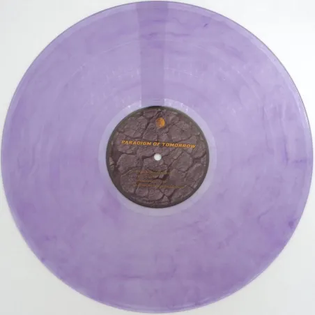 Various Artists - Paradigm Of Tomorrow LP
