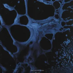 Blazej Malinowski - Nocturnal Shadows 2x12"