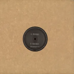 Von Grall - Sationary Regime