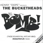 THE BUCKETHEADS***THE BOMB! These Sounds Fall Into My Mind